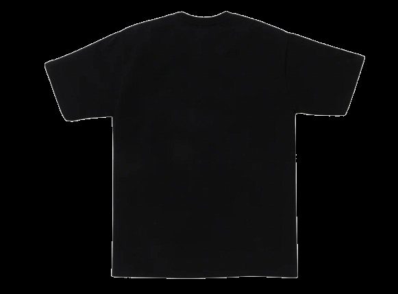 BAPE.COM BIG APE HEAD TEE BAPEC